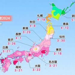 Sakura – Jak zmiany klimatyczne krzyżują plany podróżnych