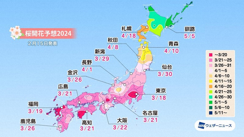 You are currently viewing Sakura – Jak zmiany klimatyczne krzyżują plany podróżnych