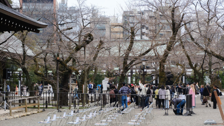 Read more about the article Yasukuni Jinja – obserwacyjna sakura