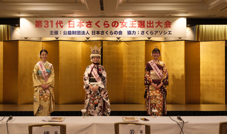 Read more about the article 31. Sakura Queen